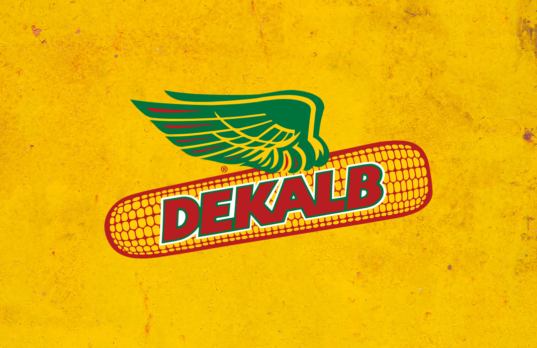 DEKALB logo over yellow