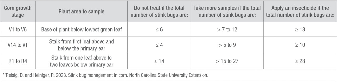 Table stink bug management in corn
