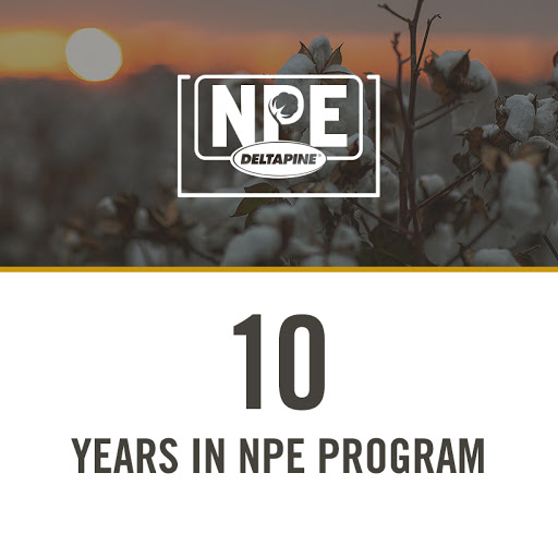 10 Years in NPE Program